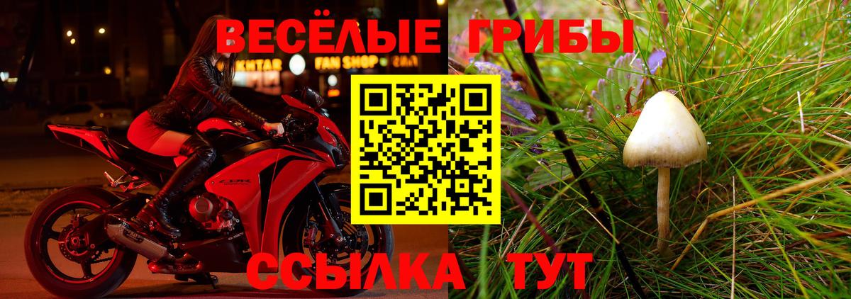 Канаш  Галлюциногенные грибы ЛСД  Вход с VPN 