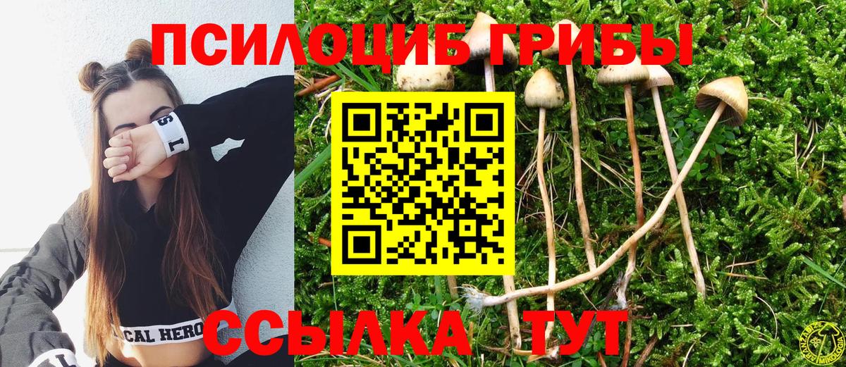 Галлюциногенные грибы MAGIC MUSHROOMS Канаш
